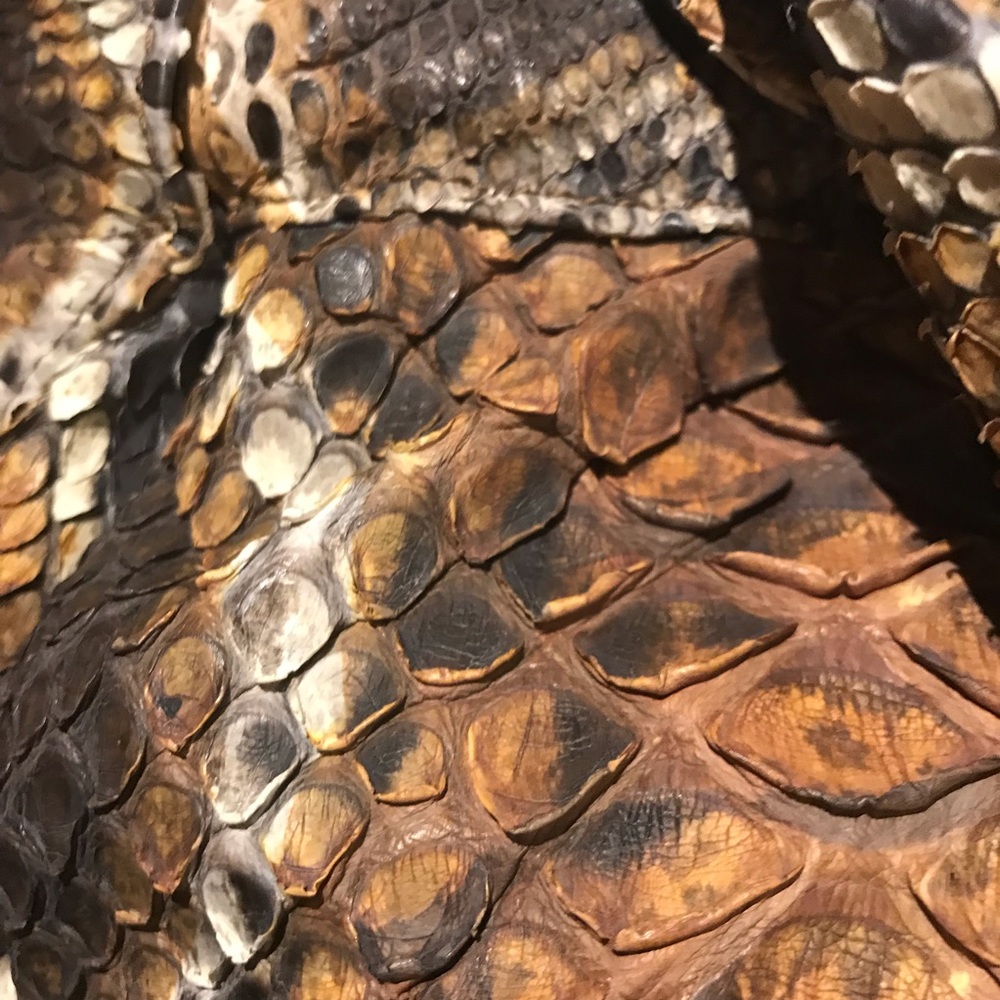 Genuine Python Leather Bag - image 4